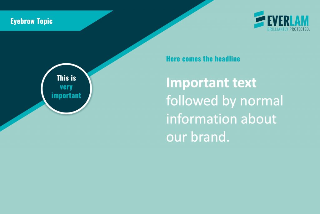 Max_Scholl_EVERLAM_LinkedIn_1