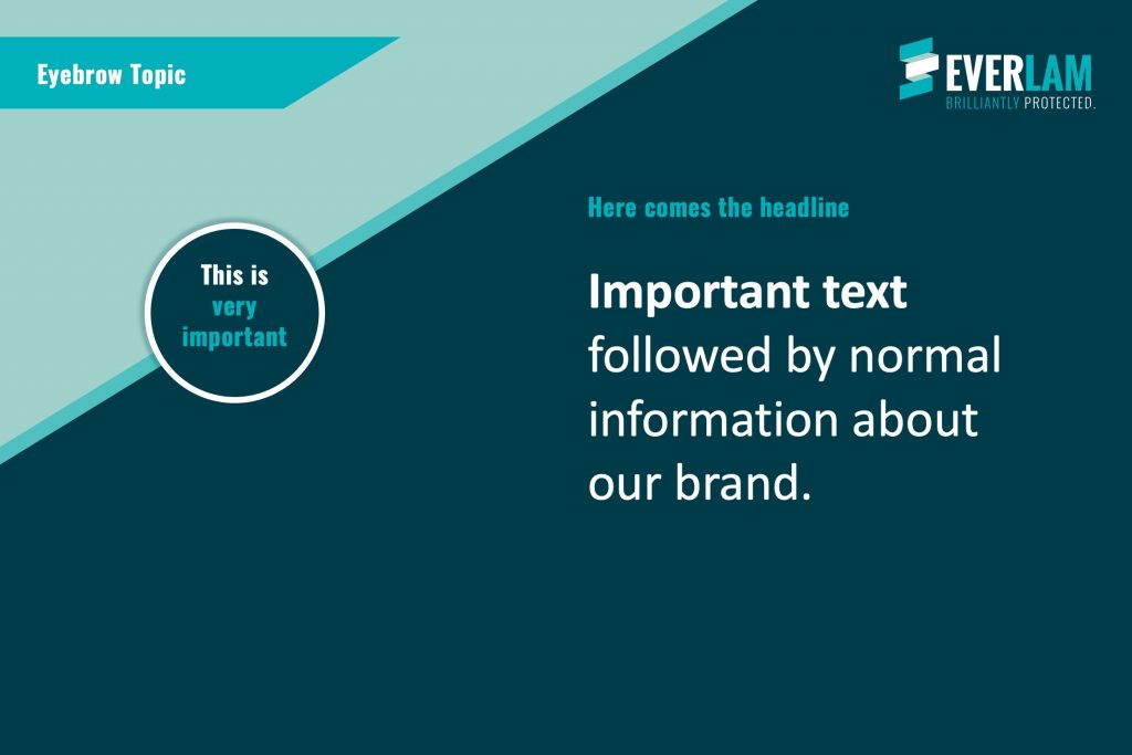 Max_Scholl_EVERLAM_LinkedIn_2