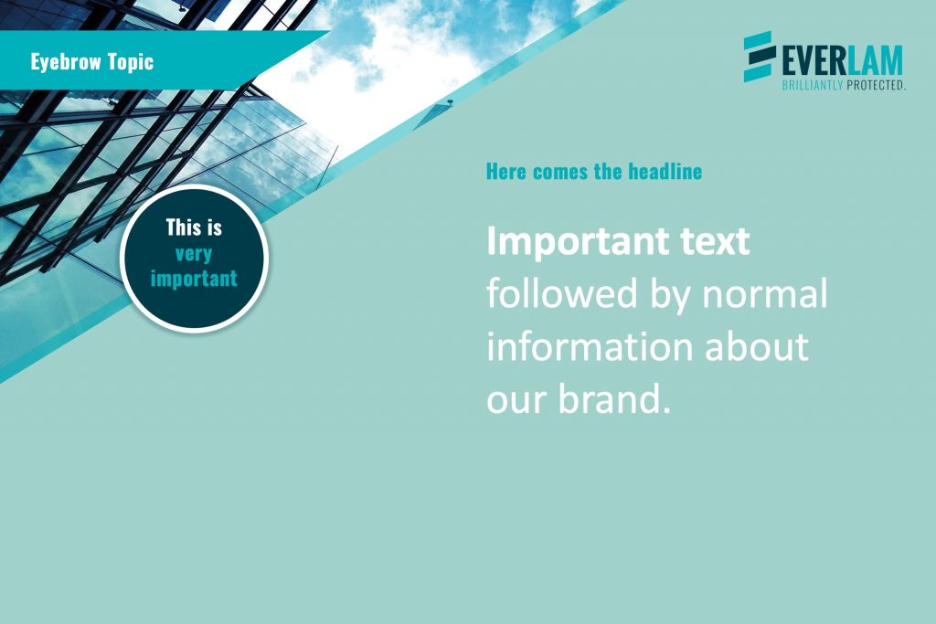 Max_Scholl_EVERLAM_LinkedIn_3