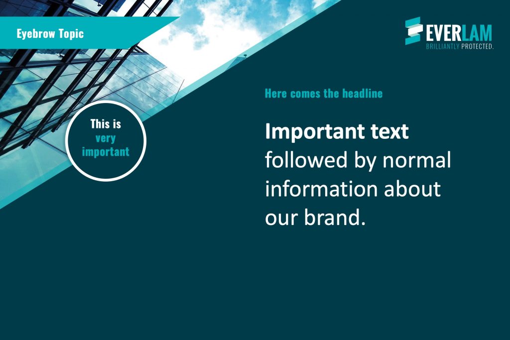 Max_Scholl_EVERLAM_LinkedIn_4