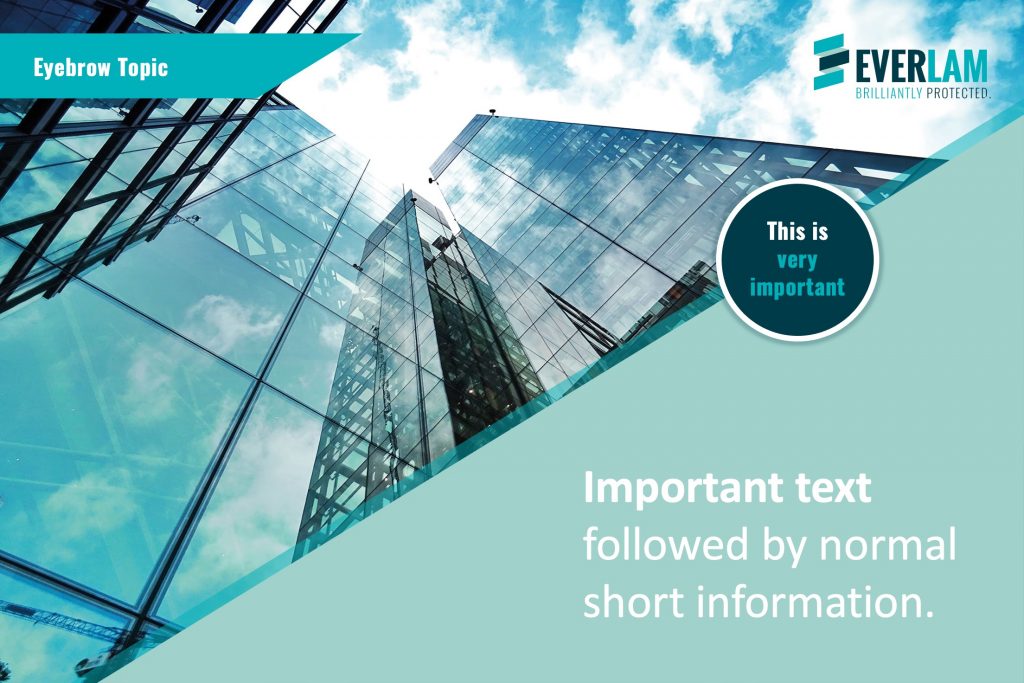 Max_Scholl_EVERLAM_LinkedIn_5