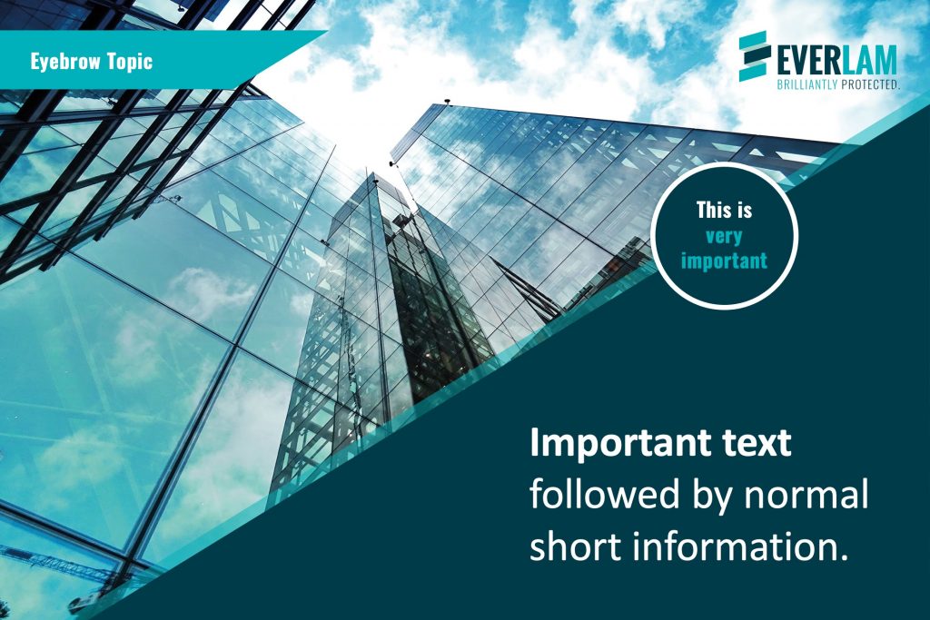 Max_Scholl_EVERLAM_LinkedIn_6